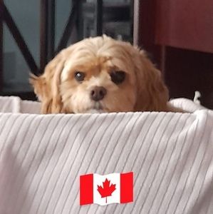 Meet your Posher, Jeanette